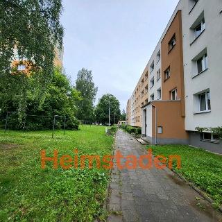 Pronájem bytu 1+1 38 m² Karviná, Prameny