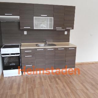 Pronájem bytu 1+kk a garsoniéry 39 m² Ostrava, náměstí Jana Nerudy