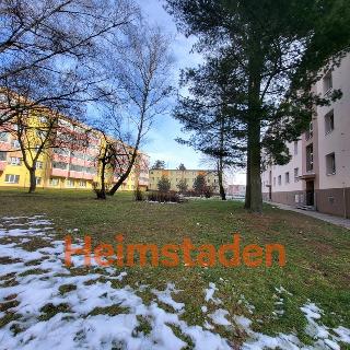 Pronájem bytu 2+1 53 m² Karviná, Školská