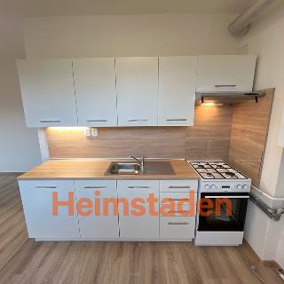 Pronájem bytu 2+1 45 m² Havířov, Na Michalůvce