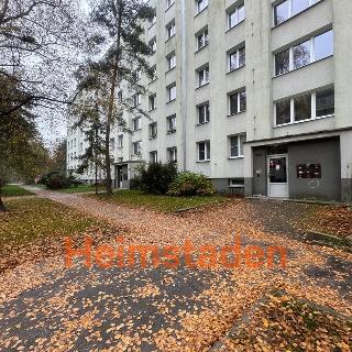 Pronájem bytu 4+1 88 m² Karviná, Závodní