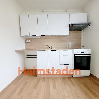 Pronájem bytu 1+1 28 m² Havířov, Opletalova