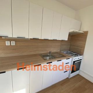 Pronájem bytu 1+1 45 m² Ostrava, Nedbalova