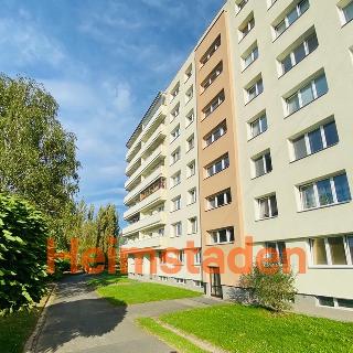 Pronájem bytu 3+1 72 m² Ostrava, Cholevova