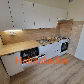 Pronájem bytu 1+1 38 m² Havířov, Nerudova