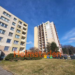 Pronájem bytu 3+1 68 m² Český Těšín, Okružní