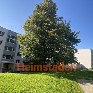 Pronájem bytu 3+1 78 m² Frýdek-Místek, Javorová