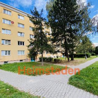 Pronájem bytu 2+1 52 m² Ostrava, Opavská