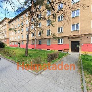 Pronájem bytu 2+1 52 m² Ostrava, Matěje Kopeckého