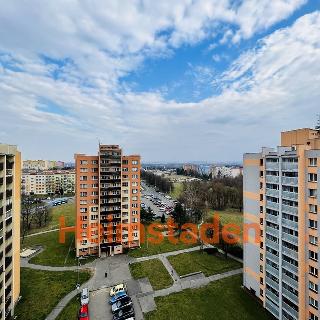 Pronájem bytu 1+kk a garsoniéry 28 m² Ostrava, Francouzská