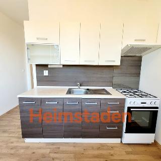 Pronájem bytu 3+1 60 m² Havířov, Klidná