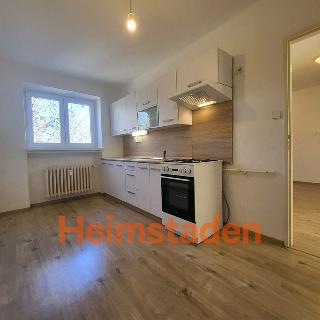 Pronájem bytu 2+1 56 m² Havířov, U Stromovky