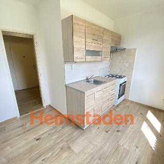 Pronájem bytu 1+1 33 m² Havířov, Hornická