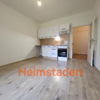 Pronájem bytu 1+1 38 m² Havířov, U Stromovky