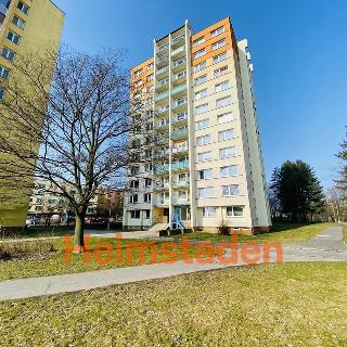 Pronájem bytu 3+1 67 m² Ostrava, Pavlouskova