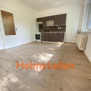 Pronájem bytu 1+kk a garsoniéry 30 m² Havířov, Hornická