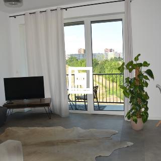 Pronájem bytu 1+kk a garsoniéry 39 m² Olomouc, Bryksova