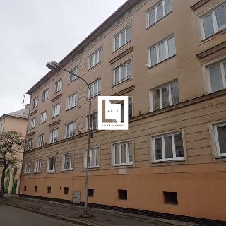 Pronájem bytu 2+1 62 m² Olomouc, Polívkova