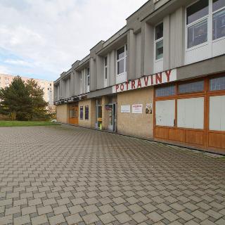 Pronájem obchodu 165 m² Plzeň