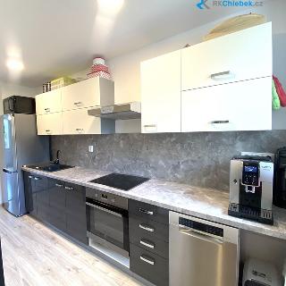 Prodej bytu 3+1 68 m² Frýdek-Místek, Revoluční