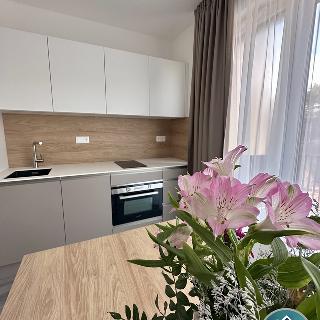 Pronájem bytu 1+kk a garsoniéry 37 m² Český Krumlov, Za Jitonou