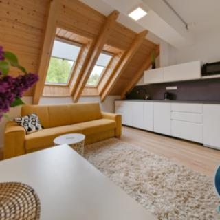 Prodej bytu 1+kk a garsoniéry 26 m² Lipno nad Vltavou, 