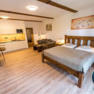Prodej bytu 1+kk a garsoniéry 46 m² Lipno nad Vltavou