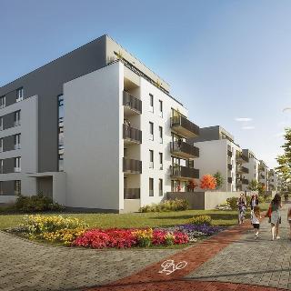 Pronájem bytu 2+kk 54 m² Plzeň, Goldscheiderova