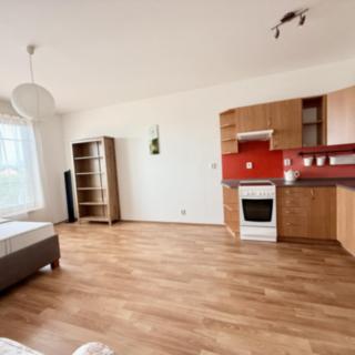 Pronájem bytu 1+kk, garsoniery 33 m² Plzeň