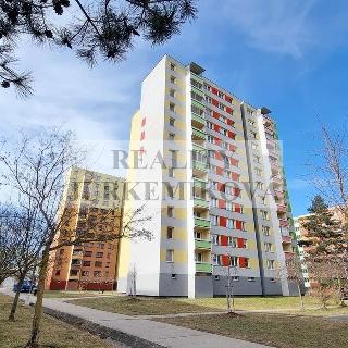 Prodej bytu 1+kk a garsoniéry 33 m² České Budějovice, M. Chlajna