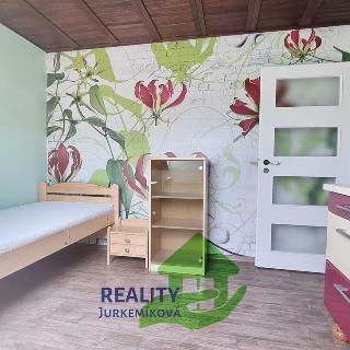 Pronájem bytu 1+kk a garsoniéry 16 m² Rudolfov