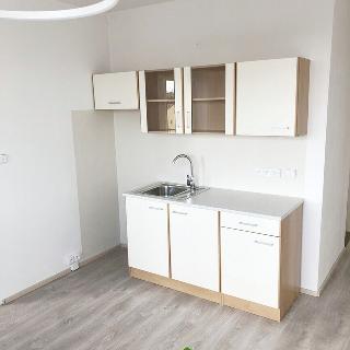 Pronájem bytu 1+1 36 m² České Budějovice, Branišovská