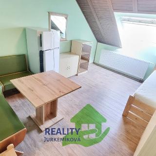 Pronájem bytu 1+kk a garsoniéry 18 m² Rudolfov