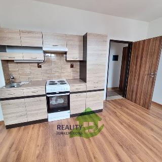 Pronájem bytu 2+kk 42 m² Sudoměřice u Bechyně