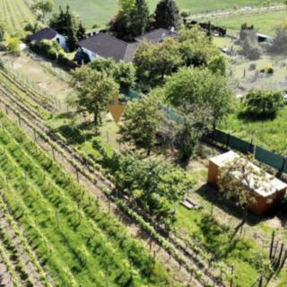 Prodej stavební parcely 528 m² Mikulov