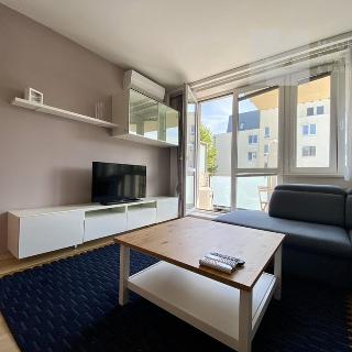 Pronájem bytu 2+kk 60 m² Brno, K Rybníku