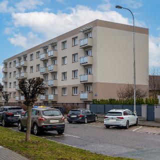 Pronájem bytu 3+1 69 m² Hradec Králové, Horova