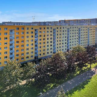 Prodej bytu 1+1 32 m² Hradec Králové, Mandysova