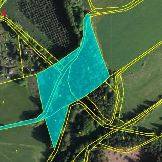 Prodej lesa 17 107 m² Teplice nad Metují