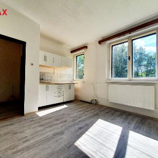 Pronájem bytu 1+kk a garsoniéry 27 m² Olešnice v Orlických horách