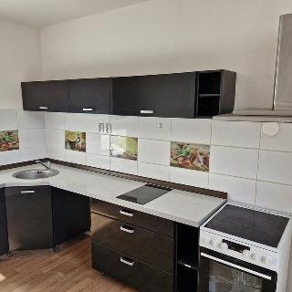 Pronájem bytu 1+1 48 m² Teplice, 