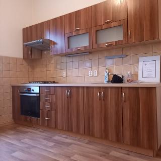 Pronájem bytu 1+1 38 m² Teplice, Litoměřická