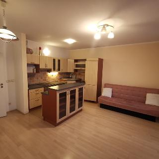 Pronájem bytu 1+1 46 m² Praha, Elektrárenská