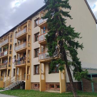 Pronájem bytu 2+1 64 m² Vyškov, Palánek