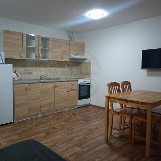 Pronájem bytu 3+kk 50 m² Bělá pod Pradědem