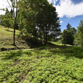 Prodej stavební parcely 2 799 m² Zlaté Hory