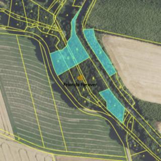 Prodej lesa 6 622 m² Panoší Újezd