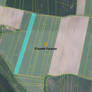 Prodej zemědělské půdy 7 823 m² Písek Smrkovice