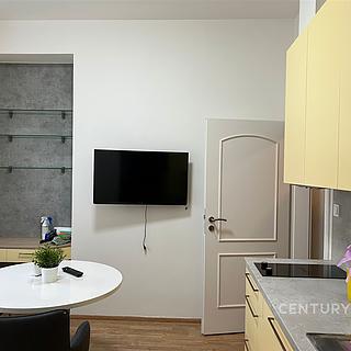 Pronájem bytu 1+1 35 m&sup2; Praha