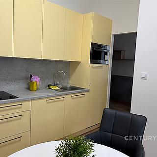 Pronájem bytu 1+1 35 m&sup2; Praha